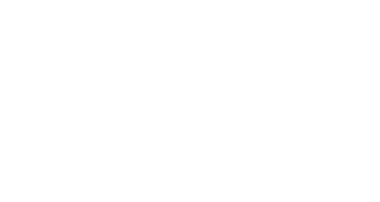 Vietnam Sourcing Logo